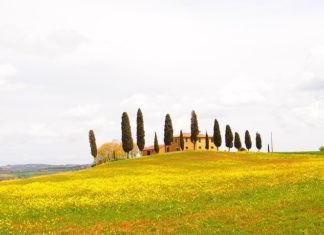 un fine settimana nel chianti