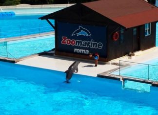 zoomarine 2017 apertura 1 aprile