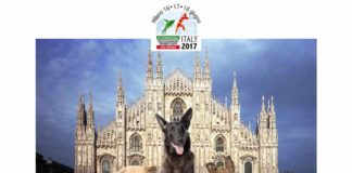 la settimana del cane milano 100tour