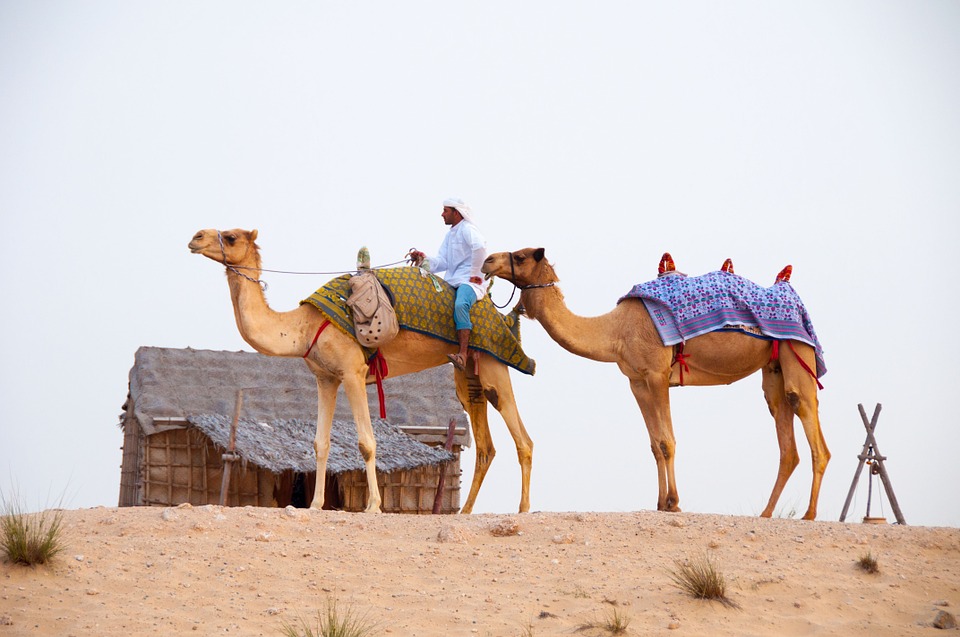 in viaggio coi bambini a dubai