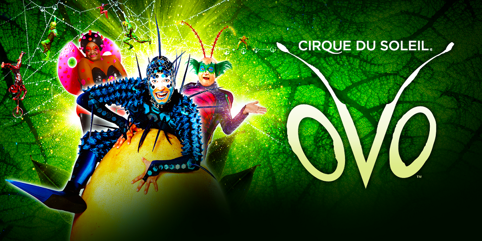 OVO cirque du soleil