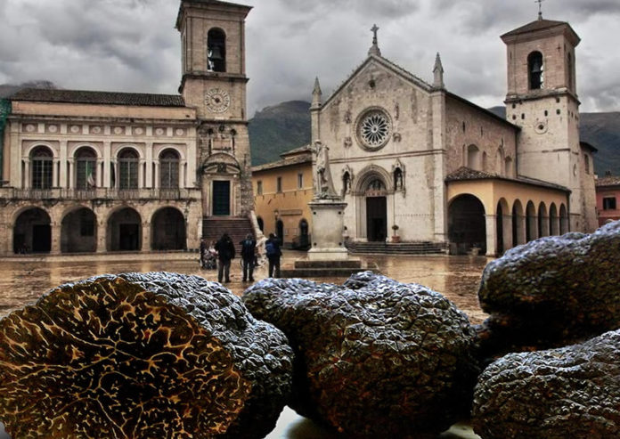 tartufo-nero norcia 100tour